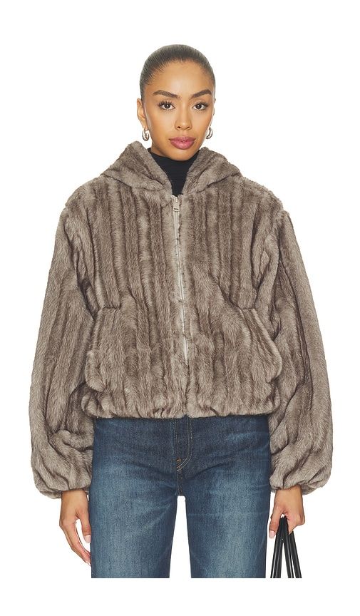 Carmilla Jacket in Grey. - size L (also in M, S, XL, XS) - Steve Madden - Modalova