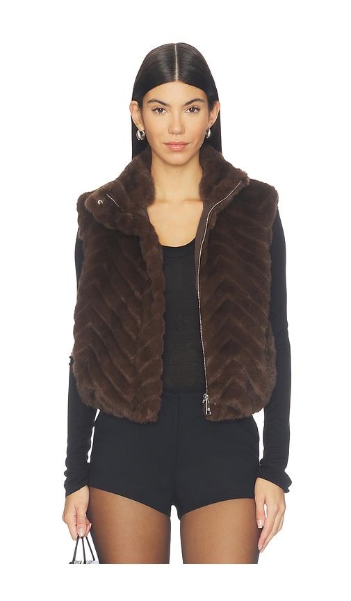 Luxie Vest in Brown. - size L (also in M, S, XL, XS) - Steve Madden - Modalova