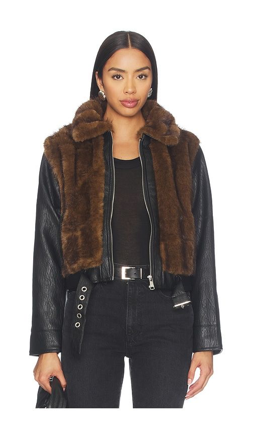 Ryland Jacket in Brown. - size L (also in M, S, XL, XS) - Steve Madden - Modalova