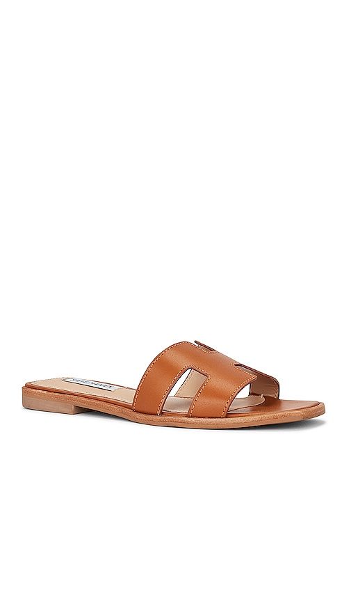 Hadyn Slide in Brown. - size 10 (also in 5, 5.5, 6, 6.5, 7, 7.5, 8, 8.5, 9, 9.5) - Steve Madden - Modalova