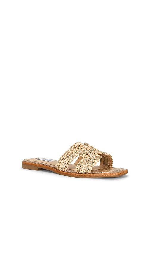 Hadyn Sandal in Cognac. - size 10 (also in 11, 6, 6.5, 7, 7.5, 8, 8.5, 9, 9.5) - Steve Madden - Modalova