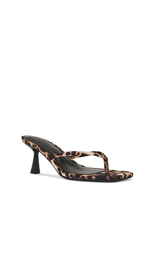 Allies Sandal in Brown. - size 6 (also in 5.5) - Steve Madden - Modalova