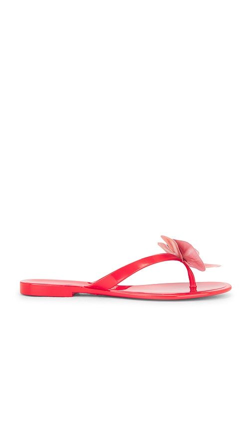 Poppyseed Sandal in . - size 10 (also in 6, 7, 8, 9) - Steve Madden - Modalova