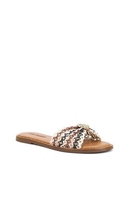 Dipsy Sandal in Brown. - size 10 (also in 6, 6.5, 7, 7.5, 8, 8.5, 9, 9.5) - Steve Madden - Modalova