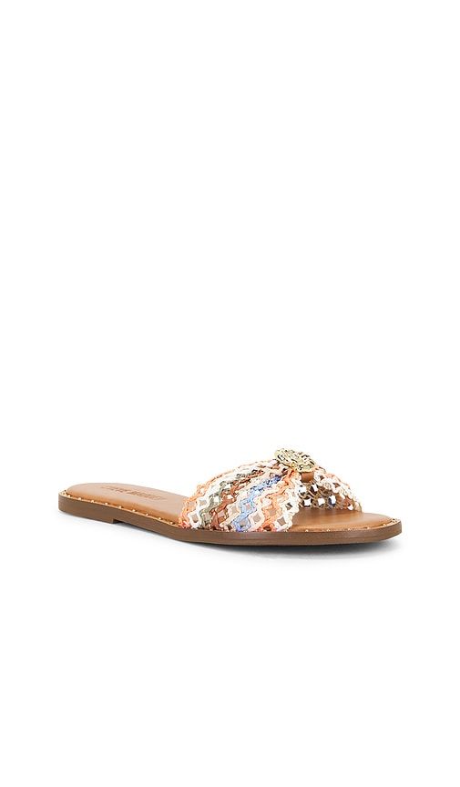 Dipsy Sandal in Coral. - size 6 (also in 6.5, 7.5, 8, 8.5, 9, 9.5, 10) - Steve Madden - Modalova
