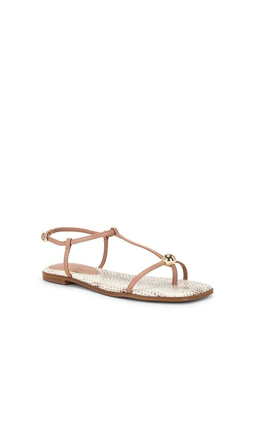 Ritzy Sandal in Brown. - size 6 (also in 6.5, 7.5, 8, 8.5, 9.5, 10) - Steve Madden - Modalova