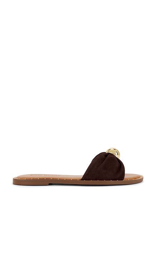 Dipsy Flat in Brown. - size 10 (also in 6, 6.5, 7.5, 8, 8.5, 9, 9.5) - Steve Madden - Modalova