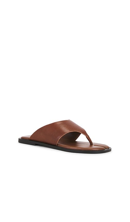 Illia Sandal in . - size 10 (also in 6, 6.5, 7, 7.5, 8, 8.5, 9, 9.5) - Steve Madden - Modalova