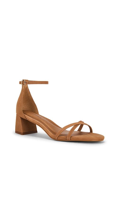 Rae Sandal in Brown. - size 10 (also in 6, 6.5, 7, 7.5, 8, 8.5, 9.5) - Steve Madden - Modalova