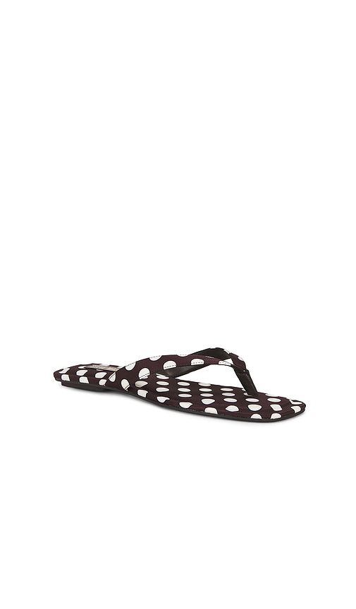 Trella Sandal in Brown,. - size 10 (also in 6, 6.5, 7, 7.5, 8, 8.5, 9, 9.5) - Steve Madden - Modalova