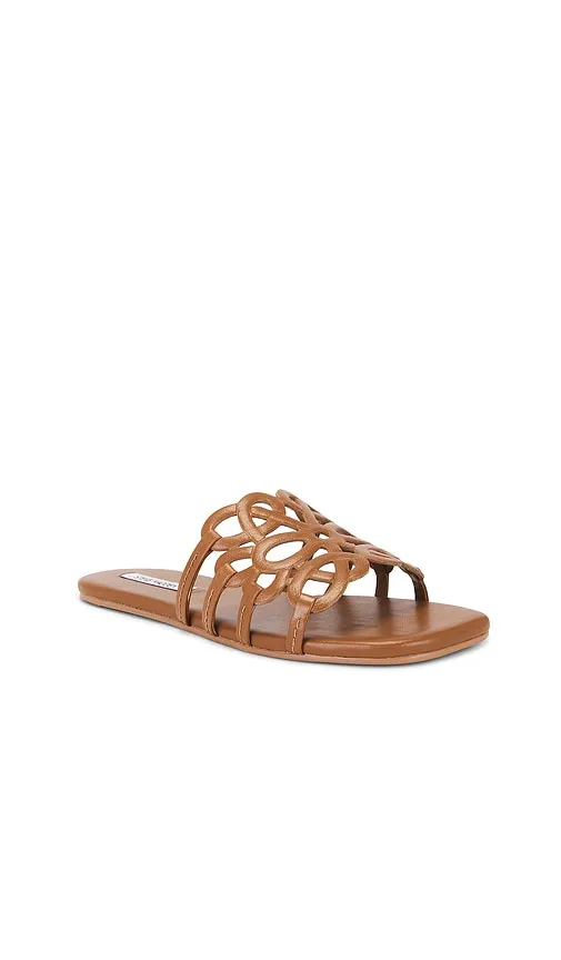 Lotus Sandal in Brown. - size 10 (also in 6, 6.5, 8.5) - Steve Madden - Modalova
