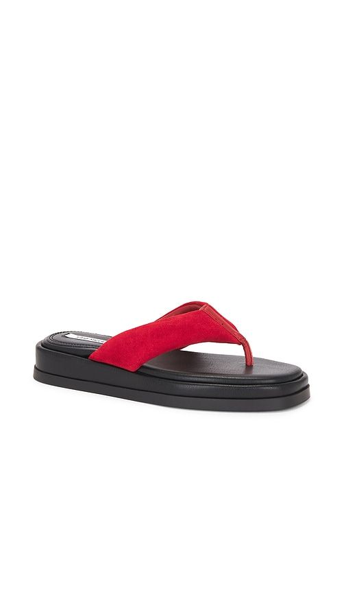 Bella Sandal in Red,Black. - size 7 (also in 8.5, 9) - Steve Madden - Modalova