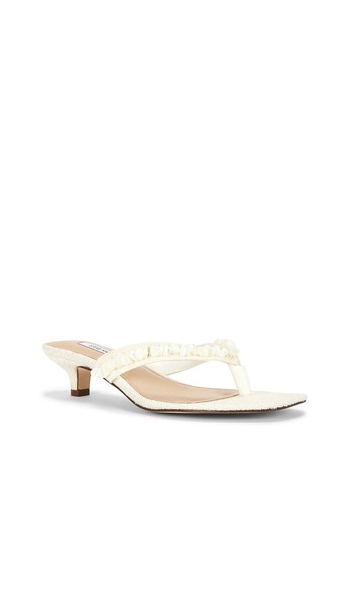 Tracie Shell Sandal in White. - size 10 (also in 11, 6.5, 7, 8.5) - Steve Madden - Modalova