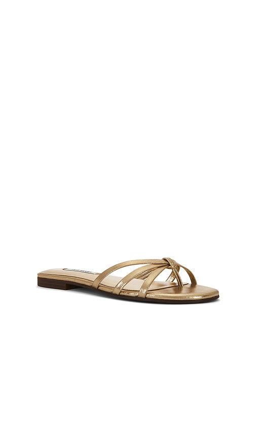 Calissi Sandal in Metallic Gold. - size 6 (also in 6.5, 7, 7.5, 8, 8.5, 9.5) - Steve Madden - Modalova