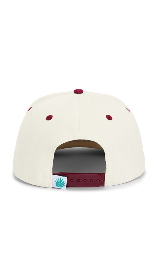 Cowboy Hat Panel Hat in - Sendero Provisions Co. - Modalova
