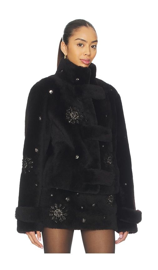 Sira Fur Jacket in Chocolate. - size 32 (also in 36) - SIEDRES - Modalova
