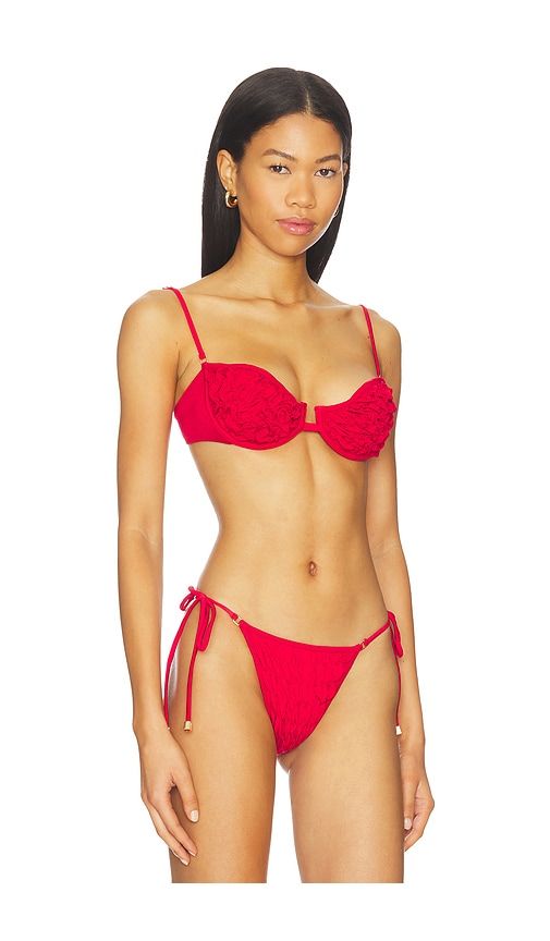 Misa Underwire Bikini Top in . - size L (also in M, S, XS) - Selia Richwood - Modalova