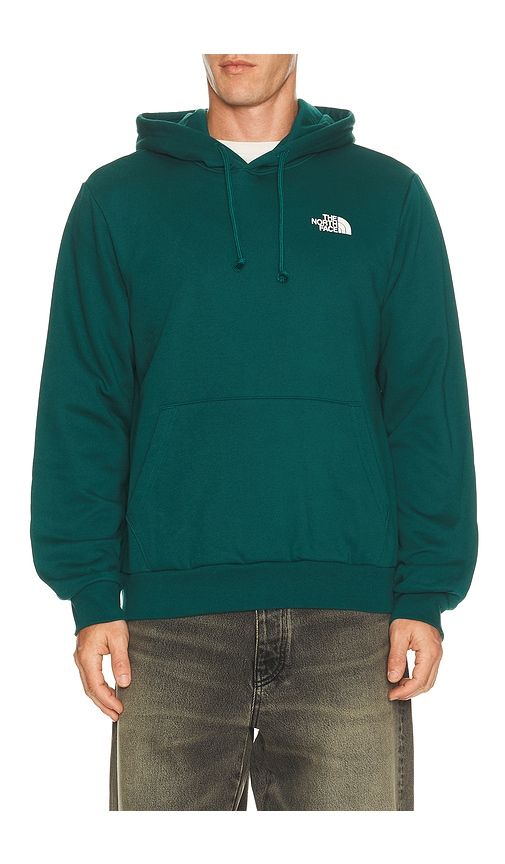 Men's Evolution Box NSE Regular Hoodie in Green. - size S (also in M, L, XL/1X, XXL/2X) - The North Face - Modalova
