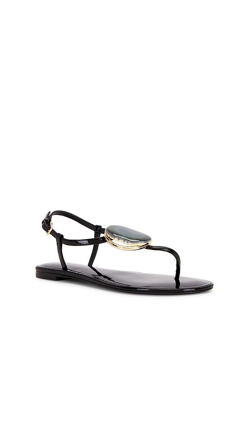 Patos Thong Sandal in Black. - size 6 (also in 6.5, 7, 7.5, 8, 8.5, 9, 9.5) - Tory Burch - Modalova