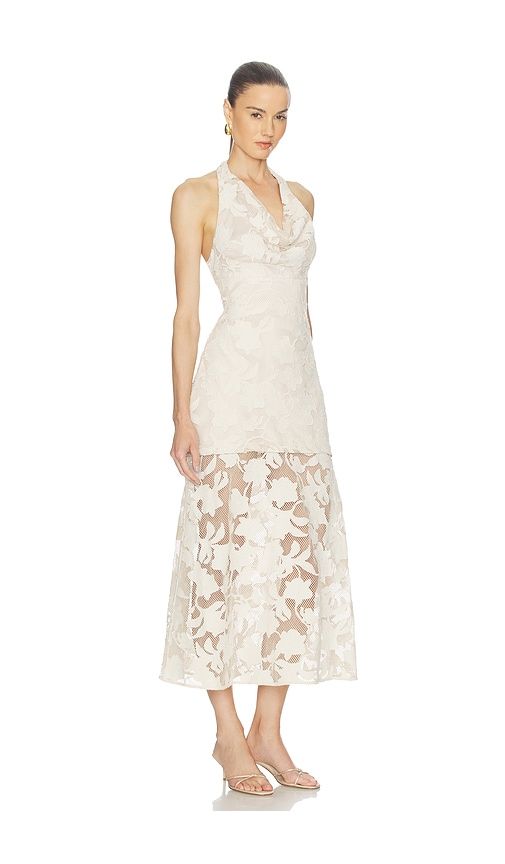 Calypso Cowl Dress in Ivory. - size 0 (also in 2, 4, 6, 8) - AMUR - Modalova