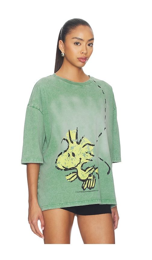 X Peanuts Woodstock Tee in Sage. - size L (also in M, S, XL/1X) - Vintage Heavy - Modalova
