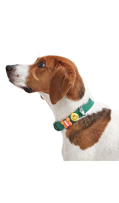 CHARMS-SET FÜR DIE GASSIRUNDE STANDARD FLAIR GROOVY WALK CHARMS BUNDLE in - Wild One - Modalova