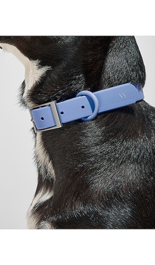 Extra Large Collar in - Wild One - Modalova