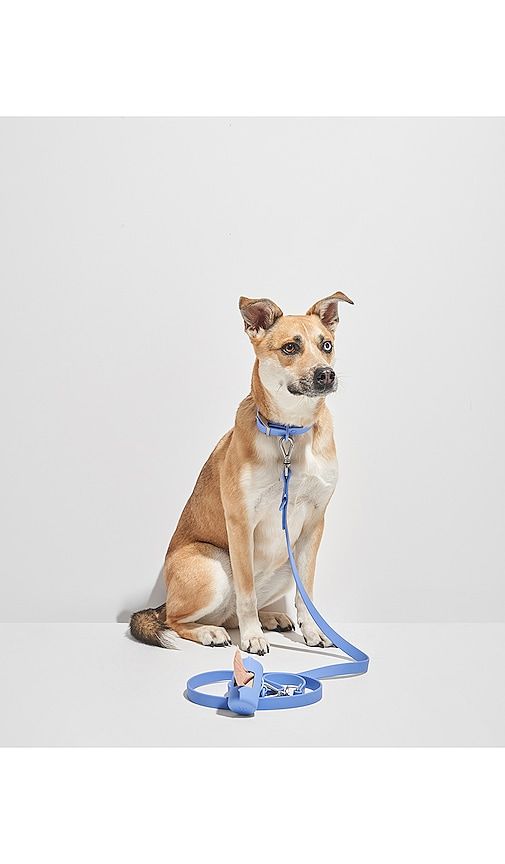 Extra Large Collar in - Wild One - Modalova