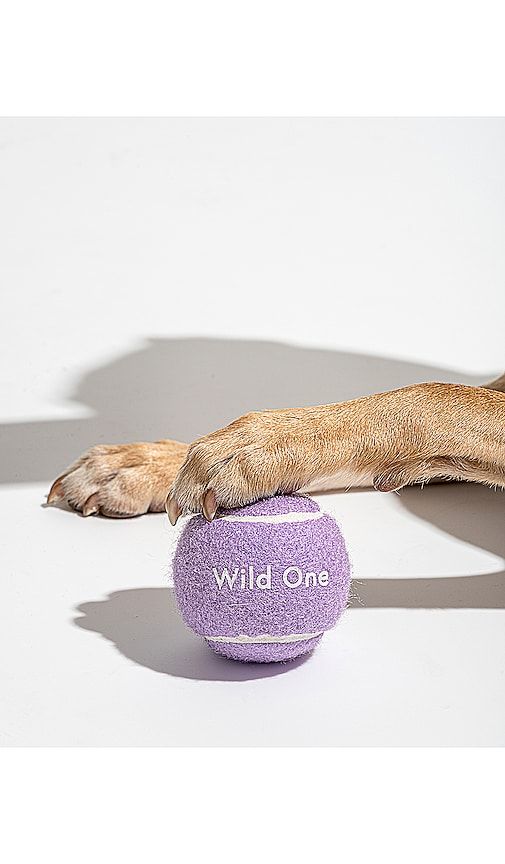 Tennis Balls Set Of 4 in - Wild One - Modalova