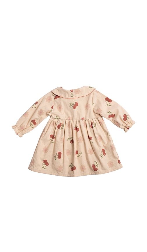 Kids Clementine Dress in Multi. - size 18/24 (also in 2/3, 3/4, 5/6) - Wild Wawa - Modalova