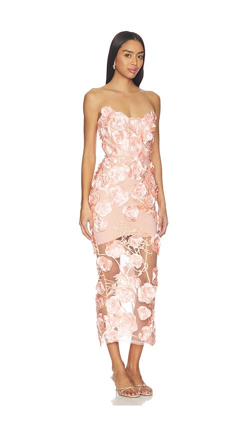 Dream Of That Dress in Blush. - size 10 (also in 12) - Zhivago - Modalova
