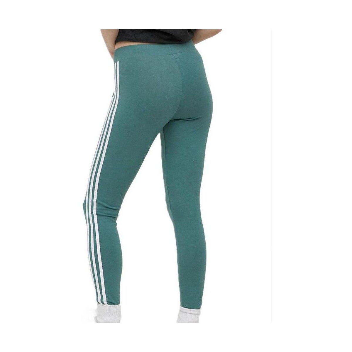 Collant adidas 3 Stripes Tight - Adidas - Modalova