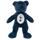 Accessori sport BS1573 - Tottenham Hotspur Fc - Modalova