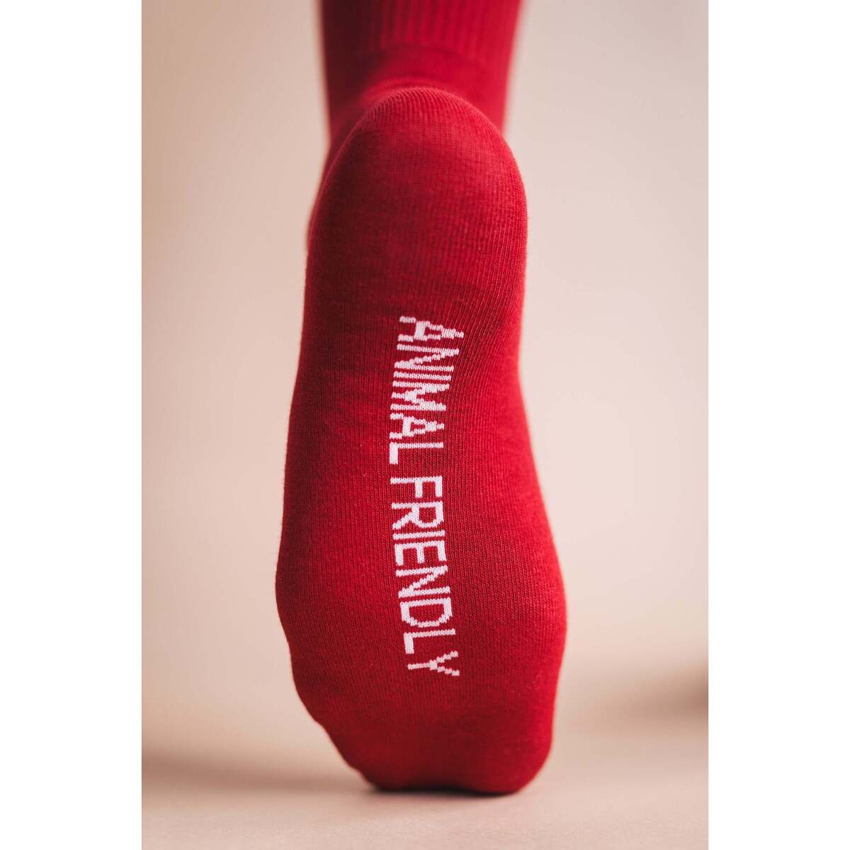 Calzini Animal Friendly Socks Pack5 - Nae Vegan Shoes - Modalova