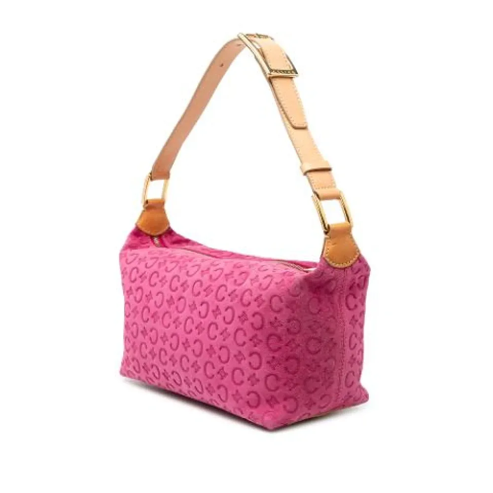 Pre-owned Suede Shoulder Bag - Celine Vintage - Modalova