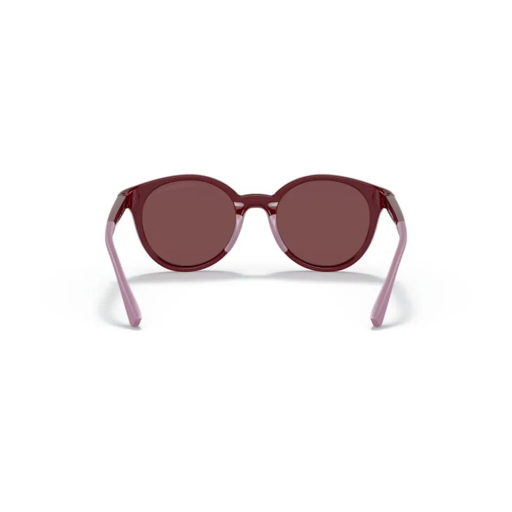 Sunglasses - Emporio Armani - Modalova