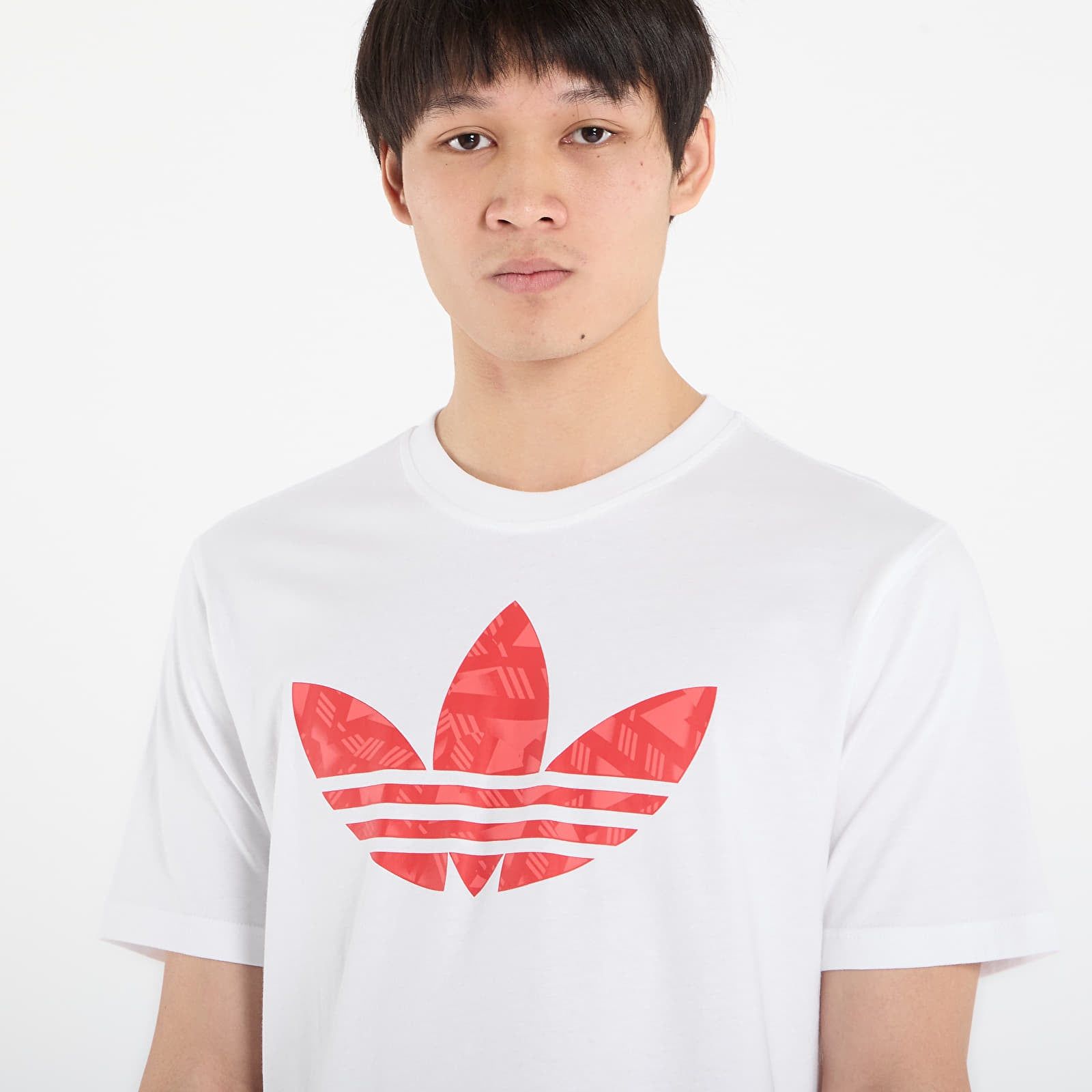 Maglietta adidas Trefoil Series T-Shirt M - adidas Originals - Modalova
