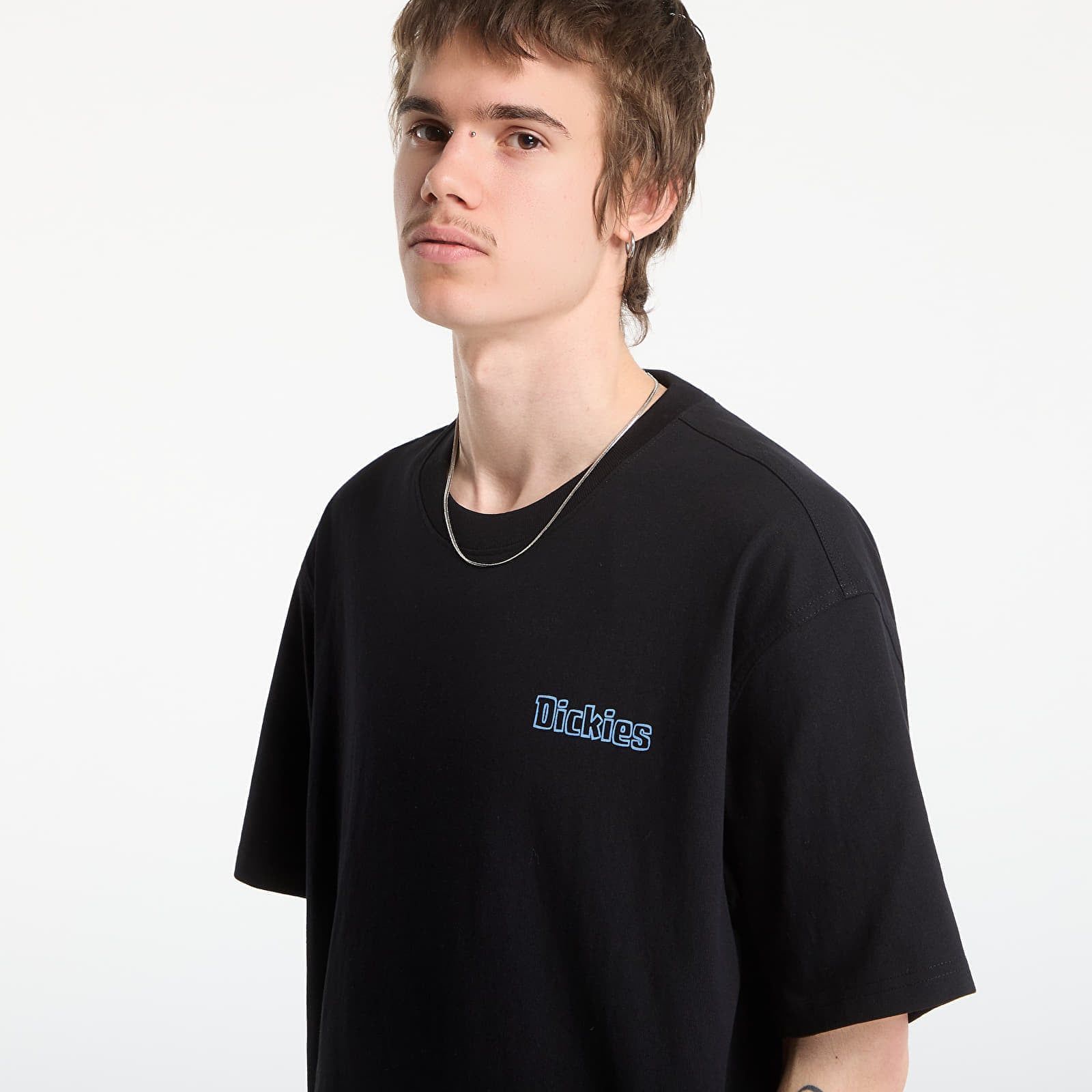 Maglietta Fairlawn Ss Tee S - Dickies - Modalova