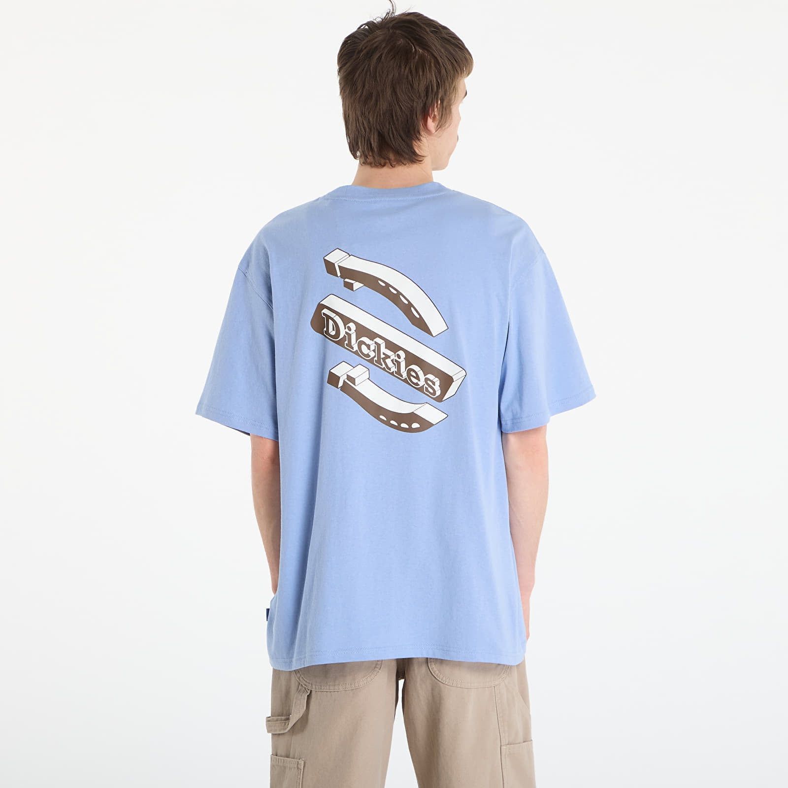 Maglietta Thornville Ss Tee L - Dickies - Modalova