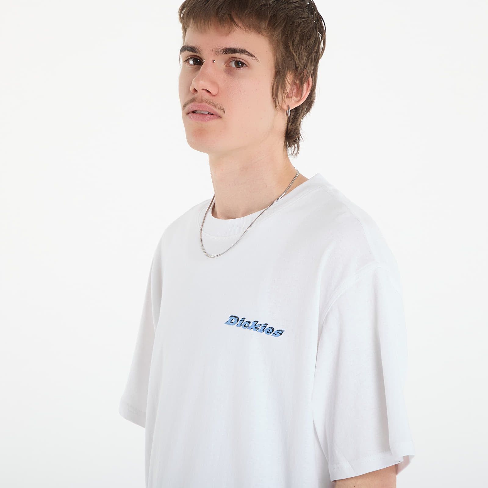Maglietta Thornville Ss Tee M - Dickies - Modalova