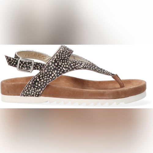 Maruti bear sandalen online